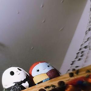 Pennsylvania isnt as pretty as u