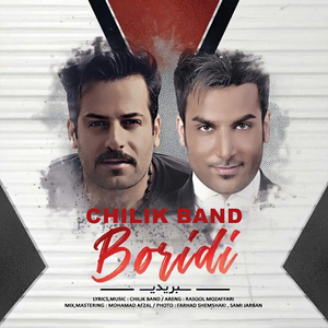 Boridi