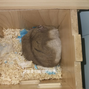 青春岁月的回忆曲