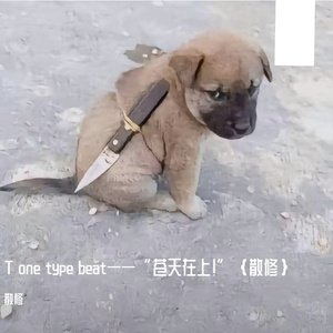 T one type beat——“苍天在上！”｛散修｝