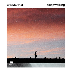 Sleepwalking