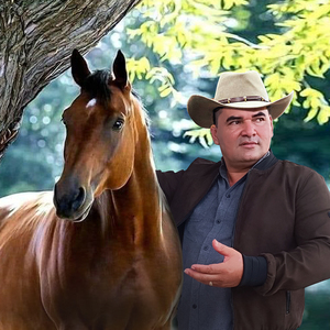 Vale La Pena (2025 Remastered Version)