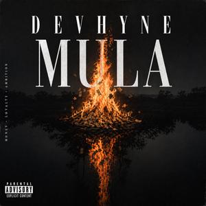 Mula