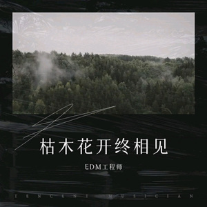 枯木花开终相见