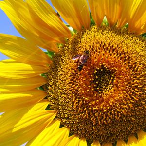 venture into the unknown