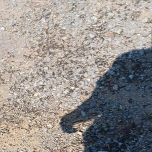 prescise1 taiming has no name