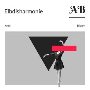 Elbdisharmonie