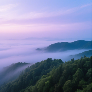 沙漠幻海(钢琴版)