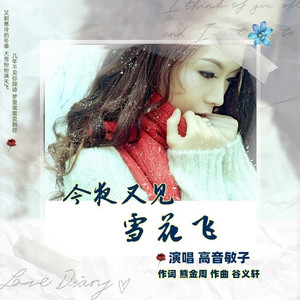 今夜又见雪花飞 (伴奏)