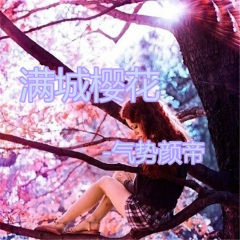 樱花树下的重逢