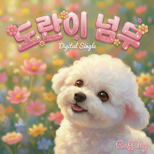 도란이 넘무