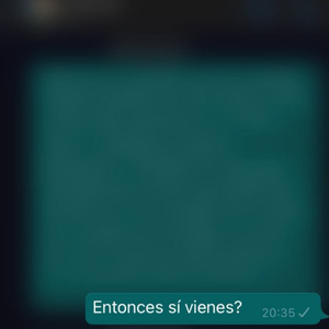 Si hubieras venido