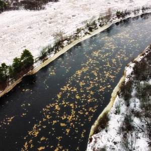 Печальное сердце