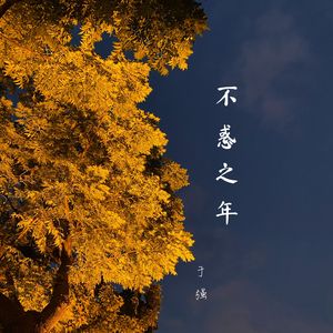 不惑之年 伴奏