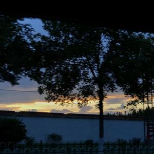 爱存在（翻自 魏奇奇）