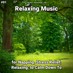 Relaxation Music Pt. 55