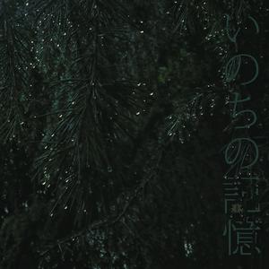 生命的记忆（翻自 nikaidou kazumi）