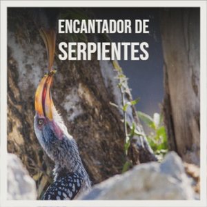 Lecherito Del Abasto