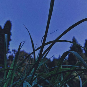 你一定要幸福-女