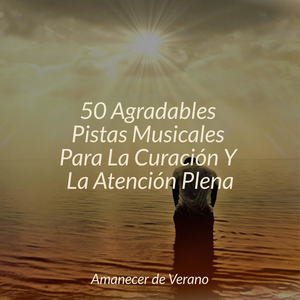 Sinfonía de Paisaje Nocturno Luminoso