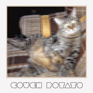 Hi, My Name Is Colin