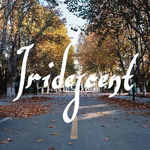 愿四季为之停留