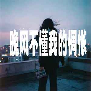 晚风不懂我的惆怅