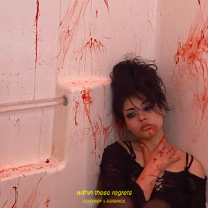 within these regrets