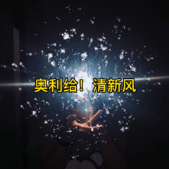 奥利给！清新风 (DJ版)