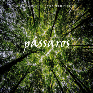 Som Ambiente para Meditação: Pássaros, Pt. 10