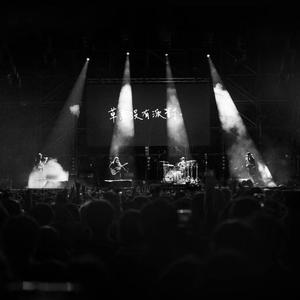 白日夢（2024 大港開唱）