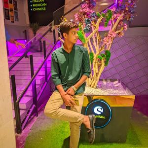 তোমার মায়ায় পরে গেছি