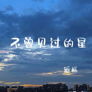 不曾见过的星