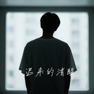 迟来的清醒