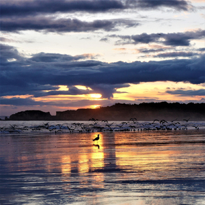 Song of the Sad and Beautiful Princess