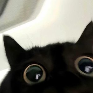 250610_160815视频音频提取