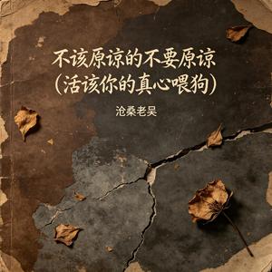 不该原谅的不要原谅(活该你的真心喂狗)