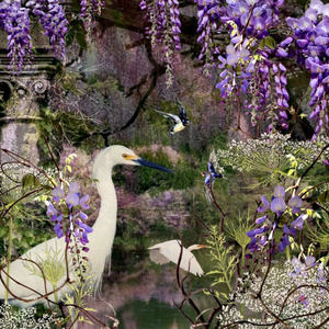 Aviary