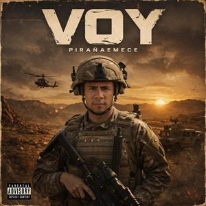 Voy