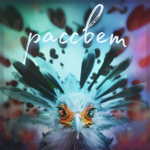 Рассвет