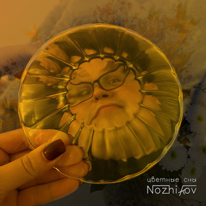 Панельные дома (Архитектура)