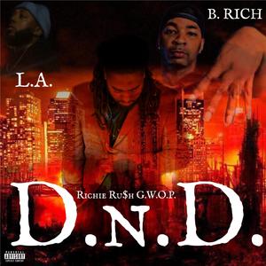 D.N.D. (feat. B. Rich & L.A.)