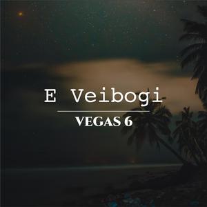 E Veibogi