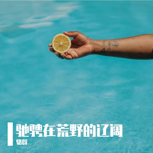 驰骋在荒野的辽阔