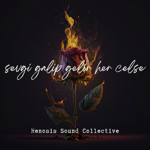 Sevgi Galip Gelir Her Celse