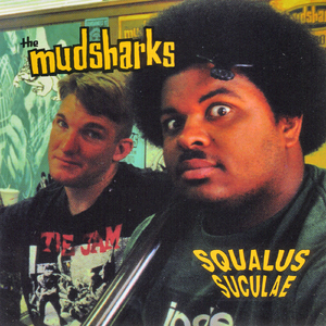 No One's Home but the Dog