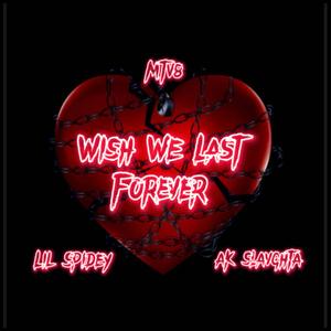 Wish We Last Forever (feat. MTV8 & ak slavghta)