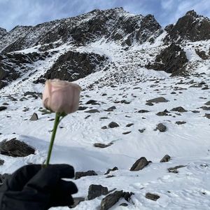 Echo（念念不忘 必有回响）