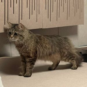 我的浦西有点臭