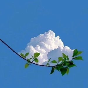 心痛无医 (COVER版)